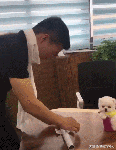 主人为了养好茶杯犬，省吃俭用还要把营养膏挤干净，这狗真享福啊