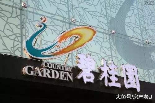 碧桂园销售额高是因为项目避开了调控