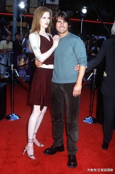 宇宙级的美人们，妮可基德曼像吸血鬼，大魔王凯特惊艳到窒息！