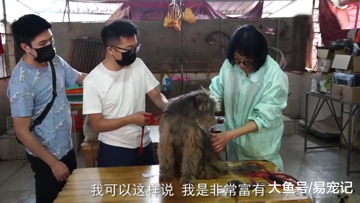 富商23年救助上万流浪狗，不顾家人反对，花费千万建立救助站