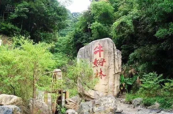 泉州哪一个地方的人最幸福？看完我酸了