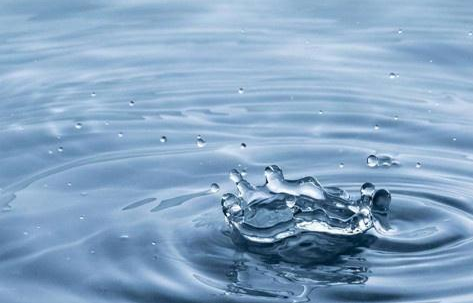 短毛猫需要经常洗澡吗？短毛猫洗澡频繁可以吗