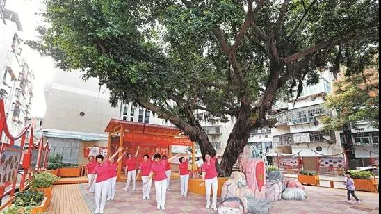 行动的第三年，今年泉州市整治提升35个老旧小区，不知道你住的小区是否上榜了呢