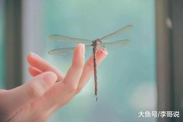 社会复杂，人心难测！狗喂不饱，人讨不好！