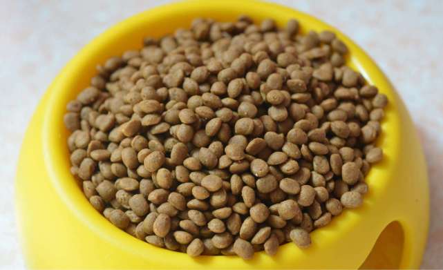 DIY狗粮食谱大放送! 拒绝多油高盐, 就是要健康有营养!