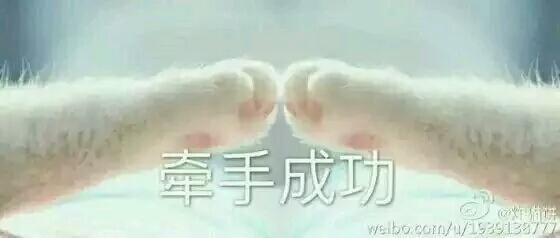 萌宠表情包，都不忍心斗图了