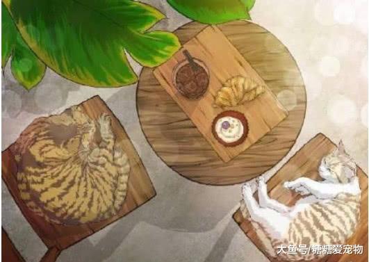 慵懒惬意的猫咪插画, 幸福得让人想哭, 不是多年的铲屎官体会不了