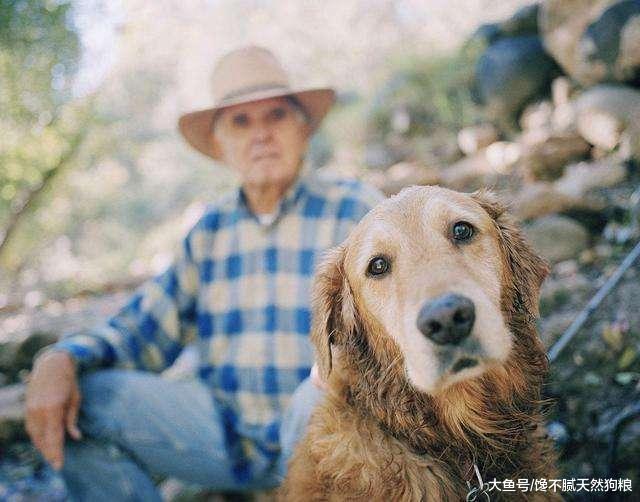 如果老狗有这些表现，那么恭喜你，说明它还能活很长时间