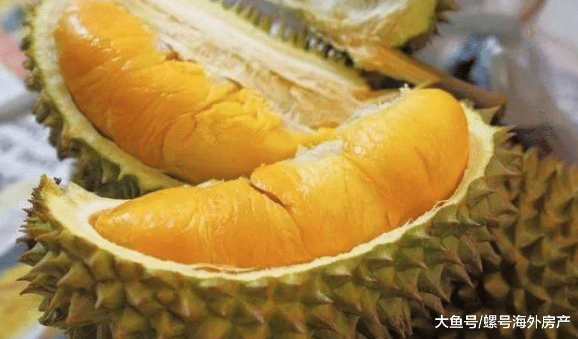 你一定不知道，柬埔寨的榴莲才是榴莲界的王者！