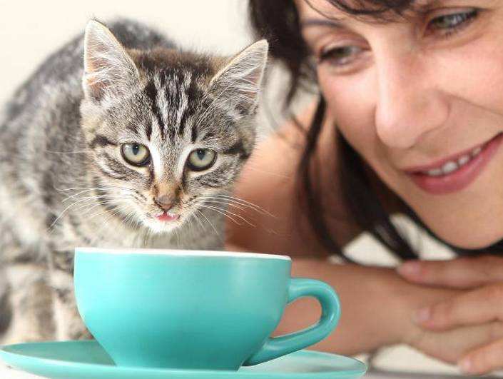 在中国被当作宠物，在澳洲却被当地政府斥资180亿来消灭！