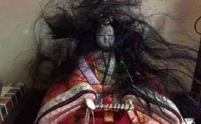 猫主子们大搞怪! 千万不要对猫竖中指, 否则…