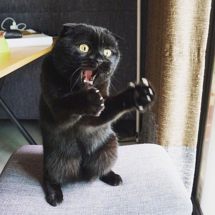 非要我满眼失望的看着你吗