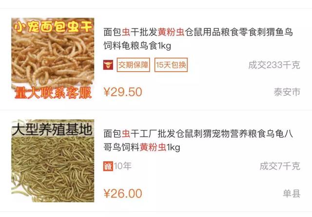 乐施昆虫粮卖蛋白18%的猫粮，以及他12个关于低蛋白猫狗粮的谎言