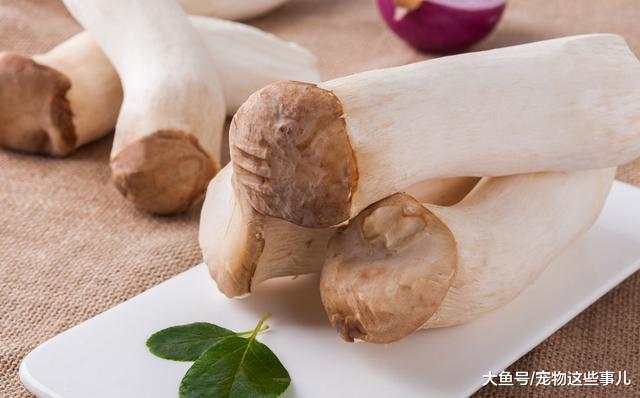 有着鲍鱼的鲜杏仁的香，这样炒出来简直比肉都好吃，特别的爽脆