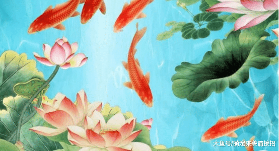 5月份即将迎来贵人的帮助，走上人生的巅峰，好运不断！