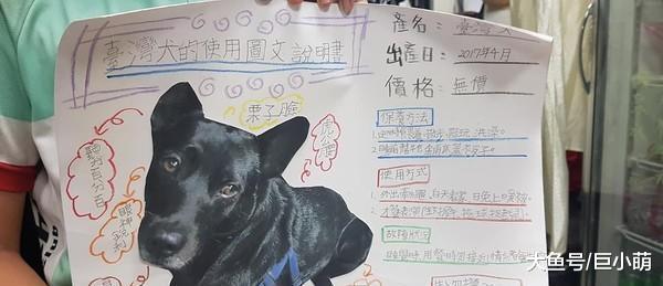 小主人介绍狗狗，使用方法竟然有“暖床”，价格“无价”是真爱了