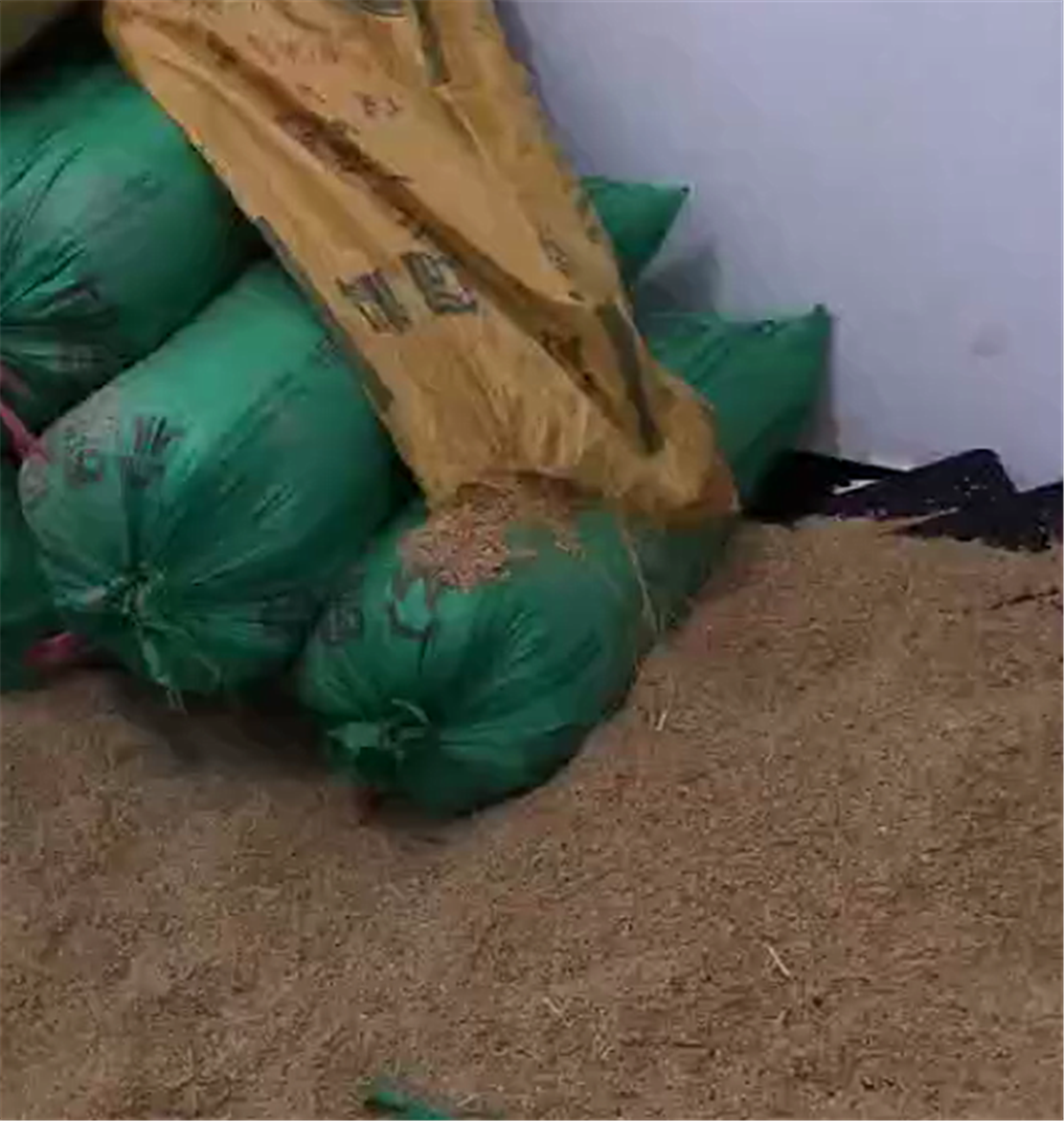 主人带二哈回乡下，狗子咬坏家里的谷子，主人的做法亮了……