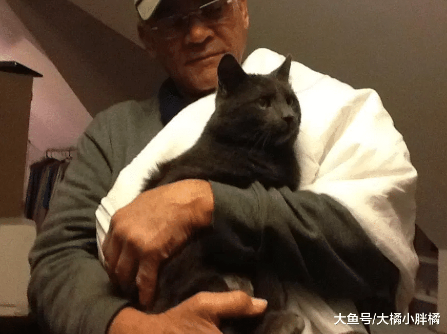 大叔坚持照料流浪猫24年，靠捡废品维持生计，却养活了上百只猫