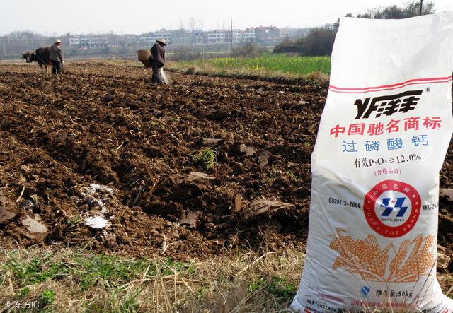 专家称农村没人种地是杞人忧天 听听农民怎么说