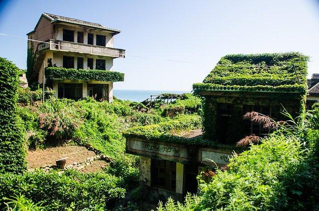 来枸杞岛, 以观沧海