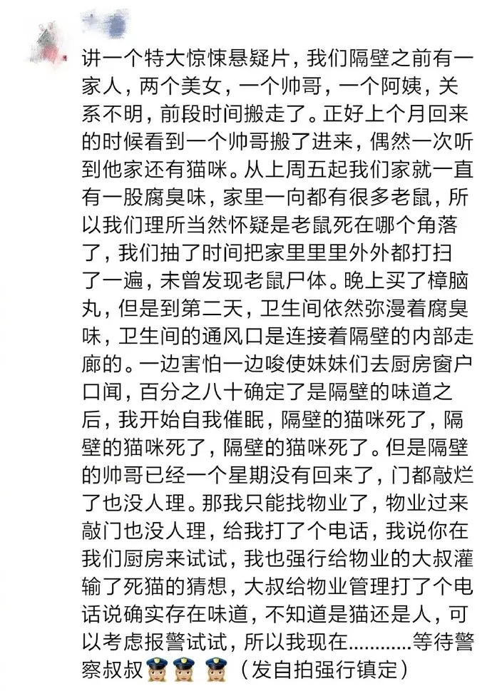 “当猫挂着屎奔向我的瞬间，我以为自己要当场窒息了…”