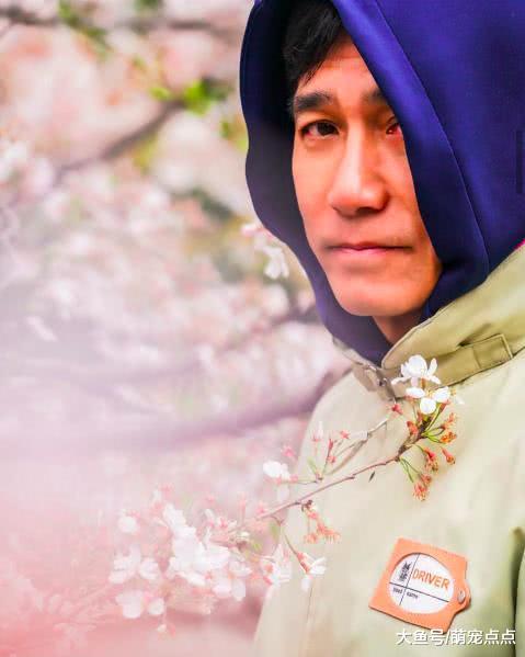 刘嘉玲梁朝伟一同看樱花， 老婆视角下的梁朝伟，单纯忧郁很真实