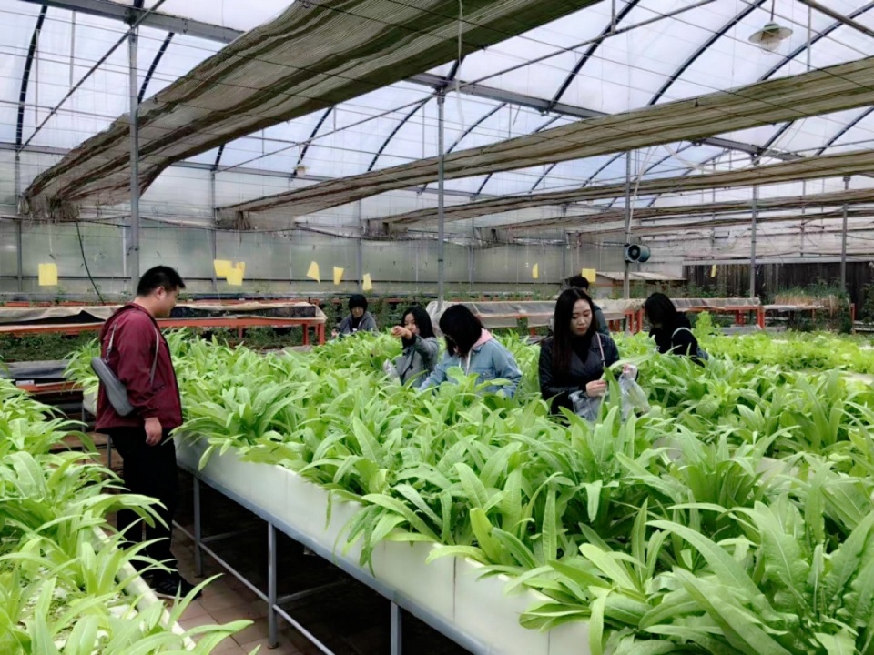 媒体采风——唐山媒体联盟采风之旅相约碧桂园·恋乡小镇