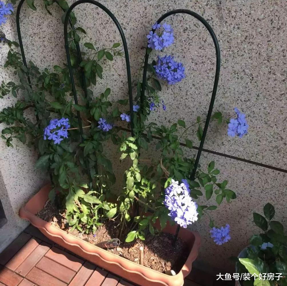 90后设计师妹子仅用5万，将89㎡装成温馨洋房！