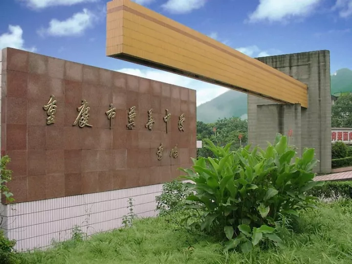 【阿狸地产说】蔡家快速崛起，板块进入发展的黄金时代