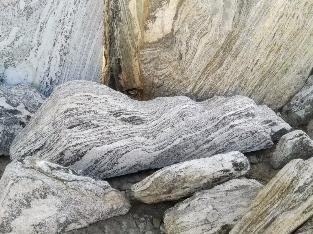 再现光影与自然的雅致空间 | 保利 · 和光逸境