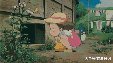 从濒临灭绝到被宫崎骏捧红，软萌温顺的龙猫，差点与人类彻底分手