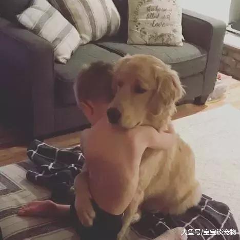 狗狗和孩子相处的画面……这大概就是天使遇上天使吧！