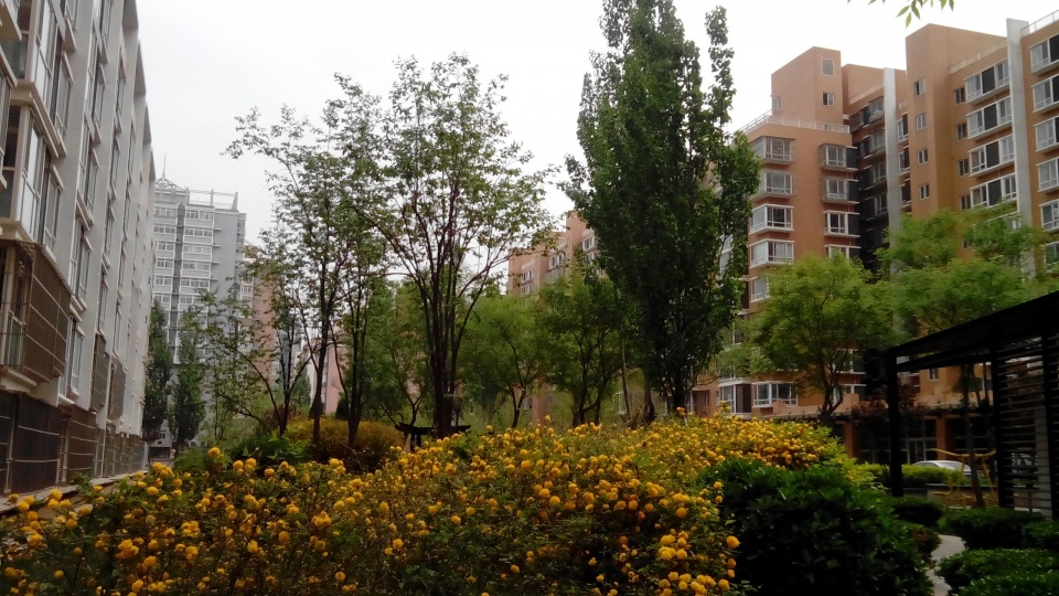 刚需有福！央媒再次定调楼市大局，住房市场迎来两个“好消息”？