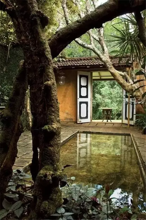 院子里的水景，美到隔壁邻居都来翻墙看！