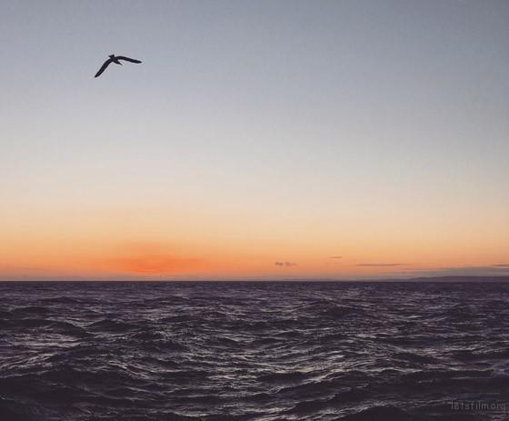 学会这些手机摄影技巧 你也能随手拍大片