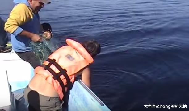 鯨魚被漁網纏住，路人伸出援助之手，意外收到鯨魚的特殊禮物