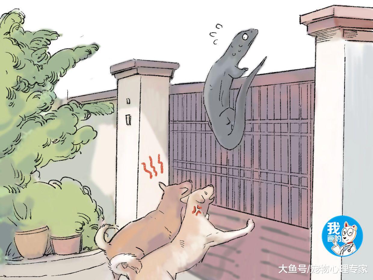 听见俩狗在院子里吠叫，以为遭小偷了，出门一看连退好几步