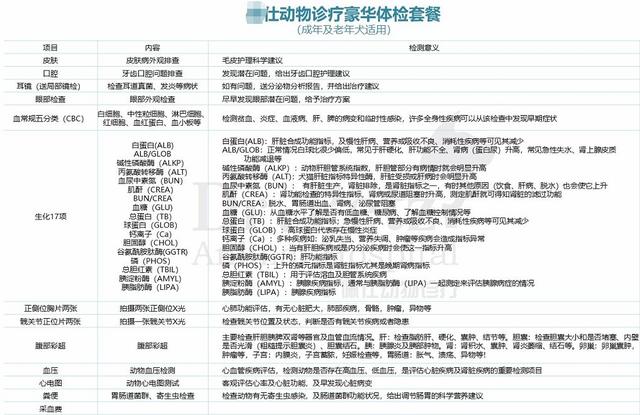 辟谣，狗的一岁不等于人的7岁，那附上狗狗长寿的六个秘诀