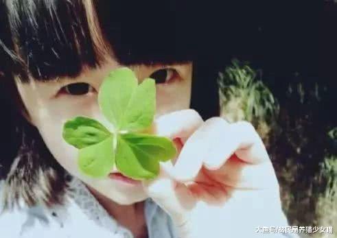 刘阳：猫咪见一个爱一个，sorry 猫才没你那么渣