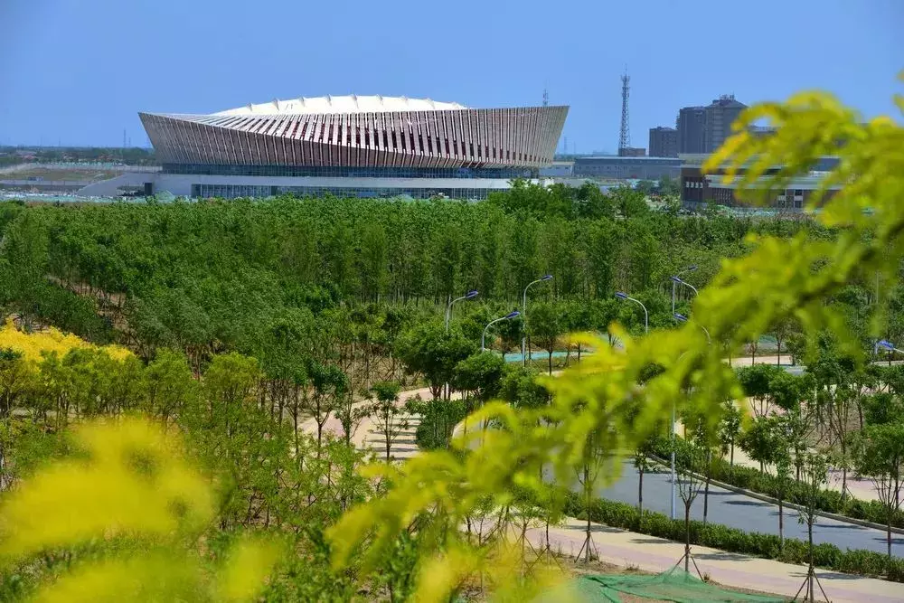 我叫天津，這是我的最新簡歷，2019請多關照！