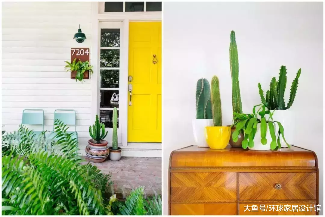 快来！抓住这300㎡的“春色”，一身困乏瞬间被治愈！
