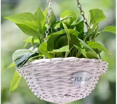 身体出现这几个症状可能是甲醛在作祟，不能忽视，引发大病就晚了