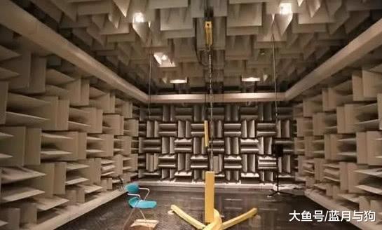 奇怪吉尼斯：最后1个房间你能呆多久？网友：打死都不去