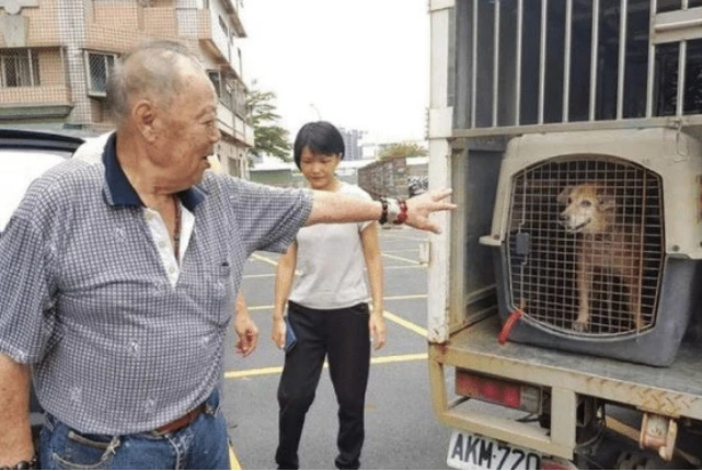 老人与狗狗相伴十年，因行动不便送走狗狗，没想到狗狗跑了回来！