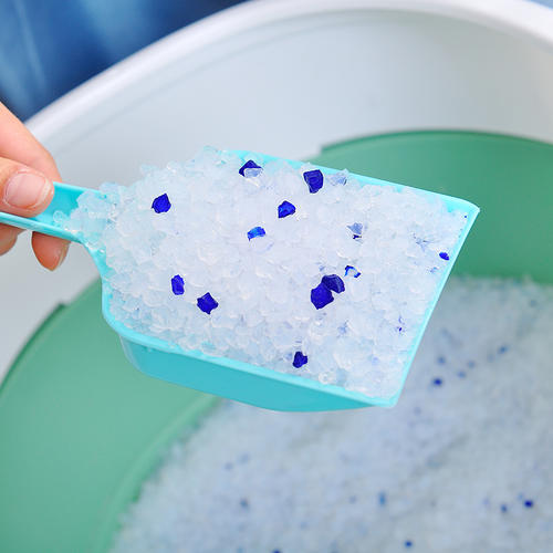 极限挑战5告诉你，猫砂是干垃圾不能再从楼上扔下去了