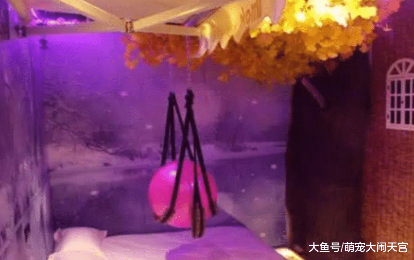 酒店情侣套房中的“圆球”有什么用？前台小妹：年轻人用得会多一点