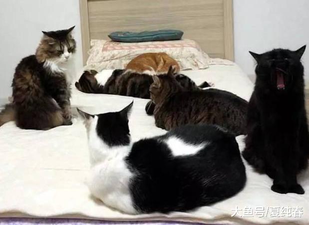 男子上班时忘关电热毯，下班回家一看，眼前一幕让他惊了……