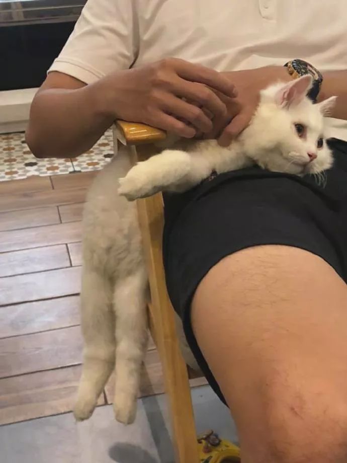 吃东西不要bia唧嘴