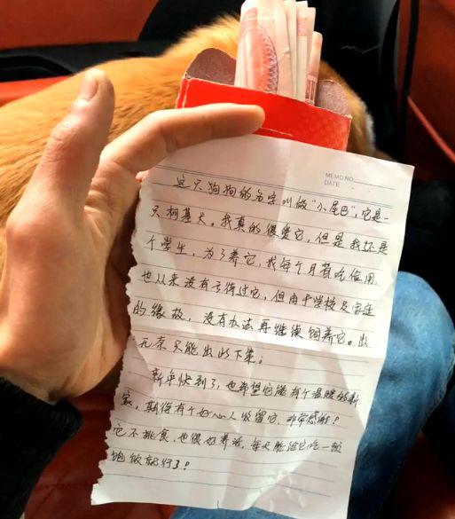 柯基被遗弃在公园, 身上带着巨额红包和一封信, 信上内容让人落泪