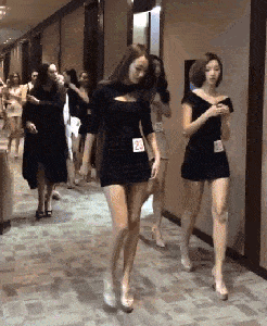搞笑GIF趣图：最不怕死的狗VS最没尊严的猫